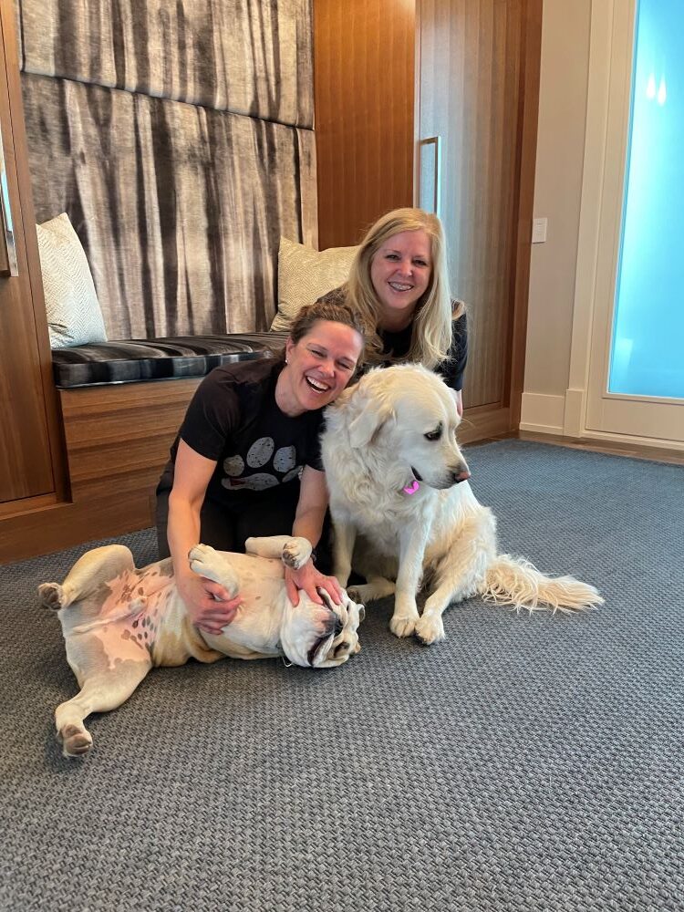 Doggie Dental offers safe, natural, anesthesia-free plaque removal for dogs in Calgary. Book your gentle cleaning today!